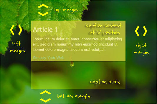 Margins