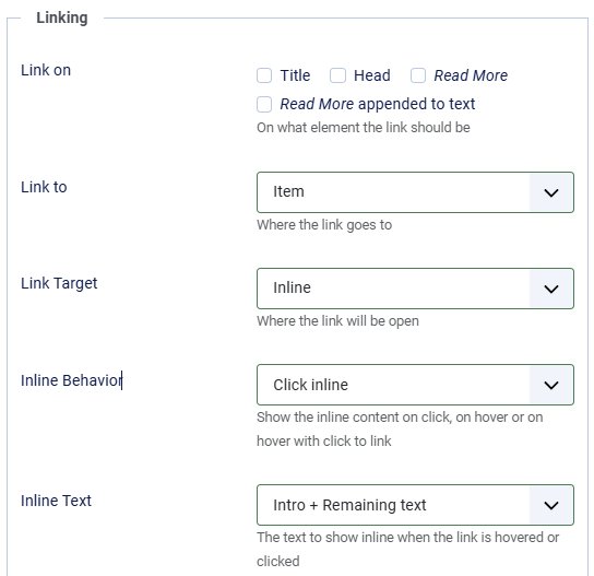 The parameters for inline items